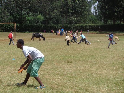 mucca-pecora-e-giochi-vari